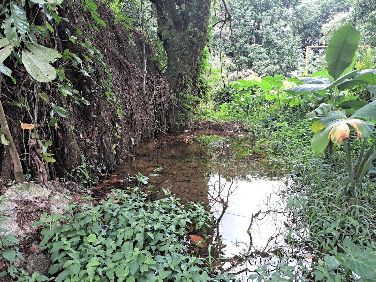 Paradisiaco, Piscina E Churrasqueira Em Guapimirim Exterior foto